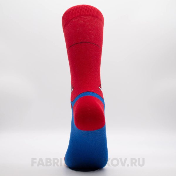 Мужские носки с "Реном"