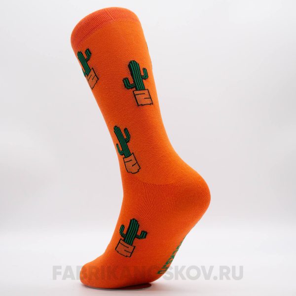Мужские носки с кактусами