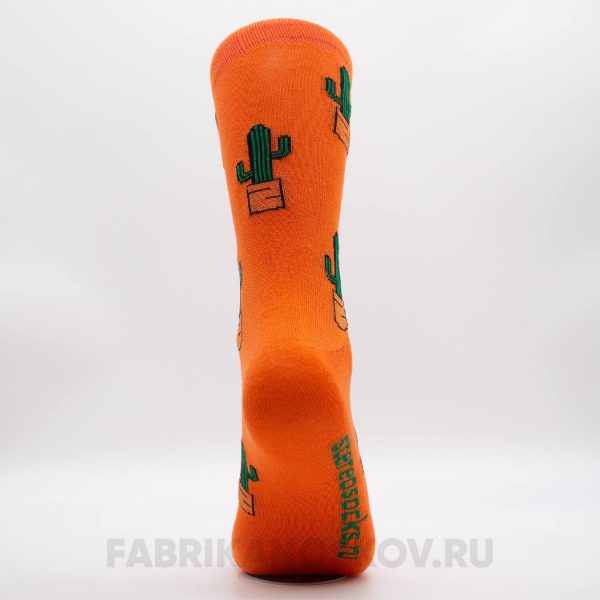 Мужские носки с кактусами