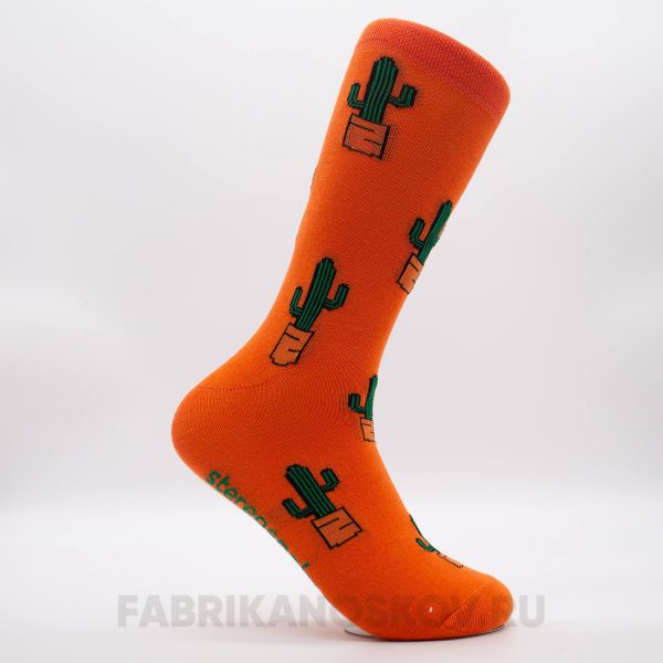 Мужские носки с кактусами
