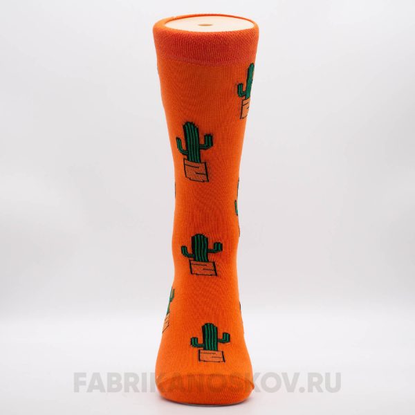 Мужские носки с кактусами